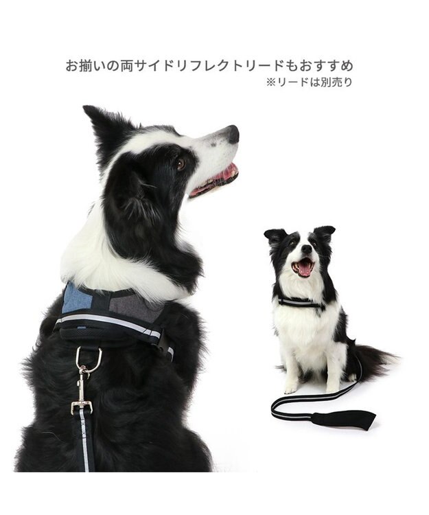 PET PARADISE ヘッドインハーネス  【Ｍ】オレンジ / ブルー 【中型犬 大型犬】 ブルー×ブラウン