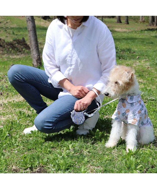 PET PARADISE ペットパラダイス 伸縮リード 《いちご柄 / ロゴ柄 》【小型犬】軽量 ロック式 ロゴ柄