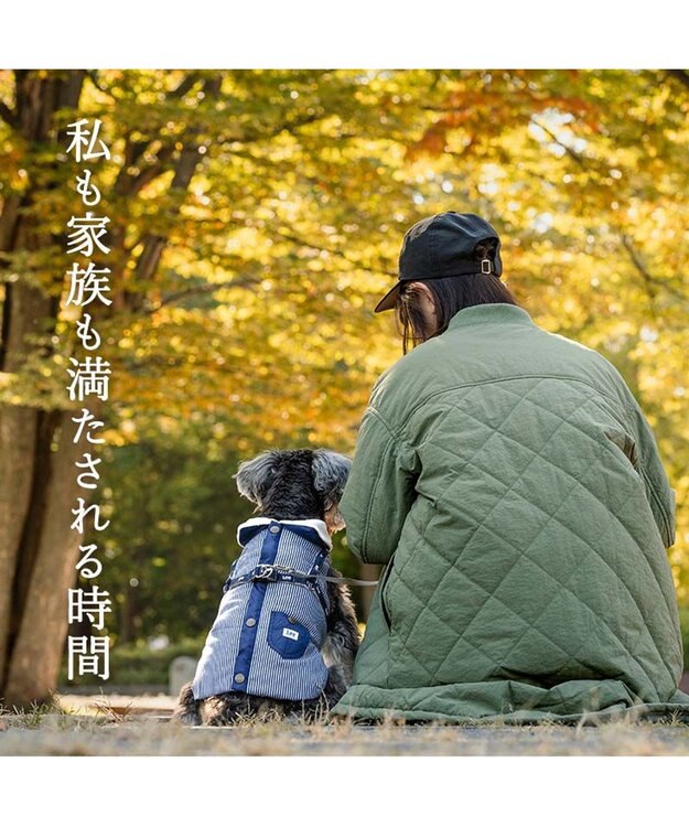 PET PARADISE Lee アウターハーネス 《ヒッコリー》 小型犬 ネイビー×ホワイト