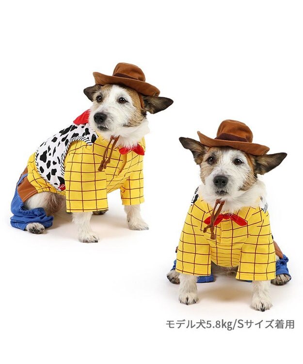 ディズニー トイ・ストーリー なりきりウッディ 小型犬 / PET