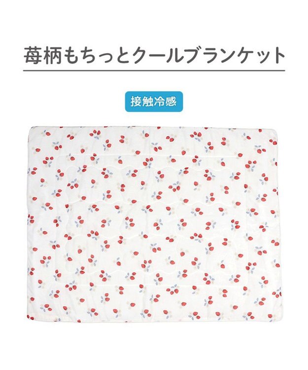 PET PARADISE ペットパラダイス もちっと クール ブランケット 《苺柄》 ホワイト×レッド