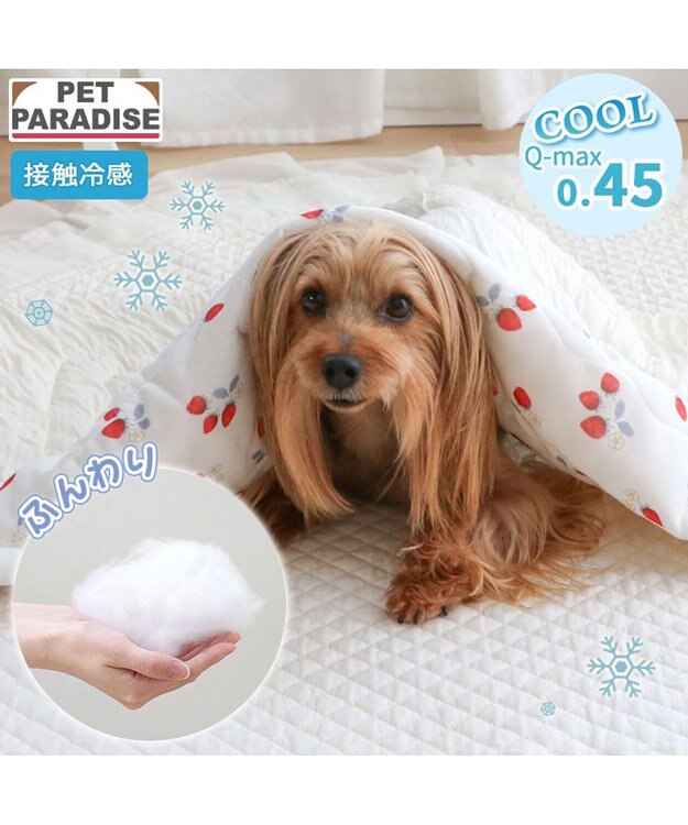 PET PARADISE ペットパラダイス もちっと クール ブランケット 《苺柄》 ホワイト×レッド