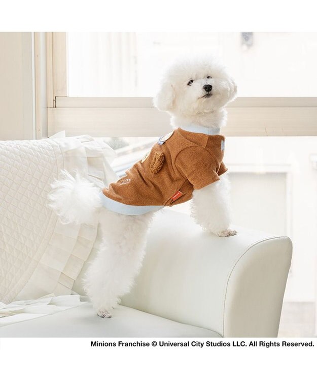 PET PARADISE ミニオン ティム サーモキープ 顔ぼんTシャツ   小型犬 ブラウン