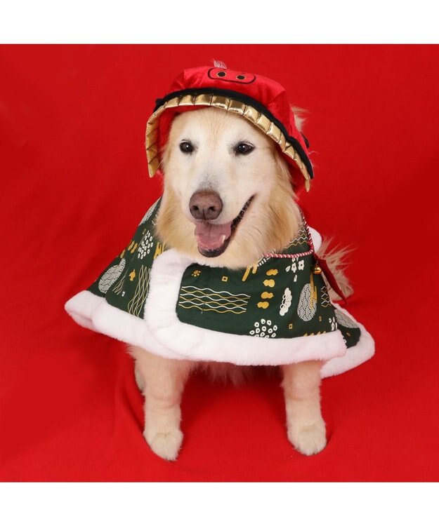 PET PARADISE ペットパラダイス 獅子舞コート'24 中型犬 大型犬 緑