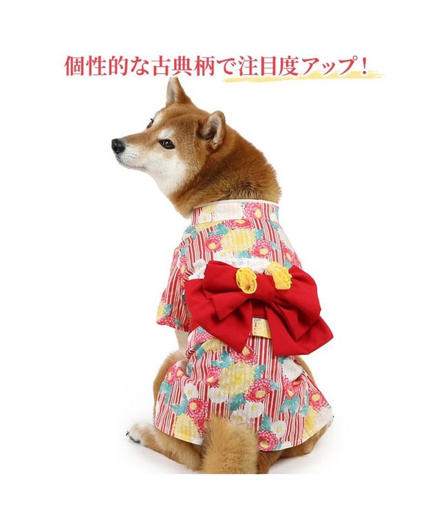 PET PARADISE ペットパラダイス 浴衣 《菊柄》  中型犬 大型犬 菊柄
