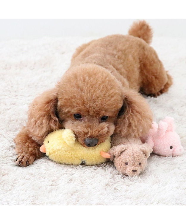PET PARADISE  ペットパラダイス ふわふわ トイ《くま》 くま