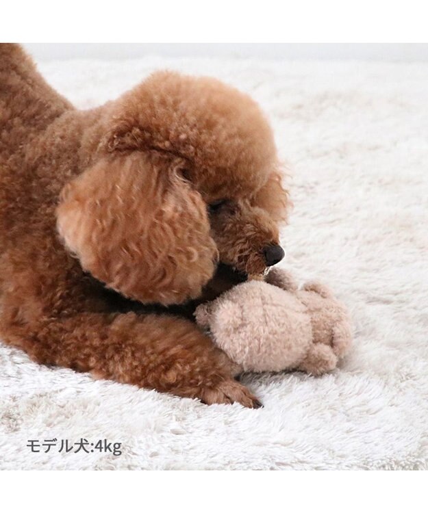 PET PARADISE  ペットパラダイス ふわふわ トイ《くま》 くま