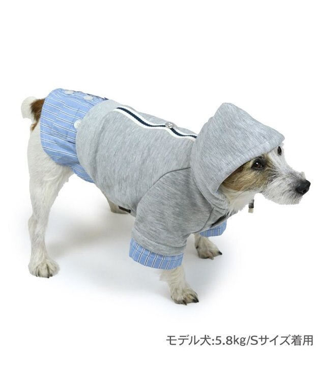 PET PARADISE ペットパラダイス シャツパーカー 小型犬 グレー