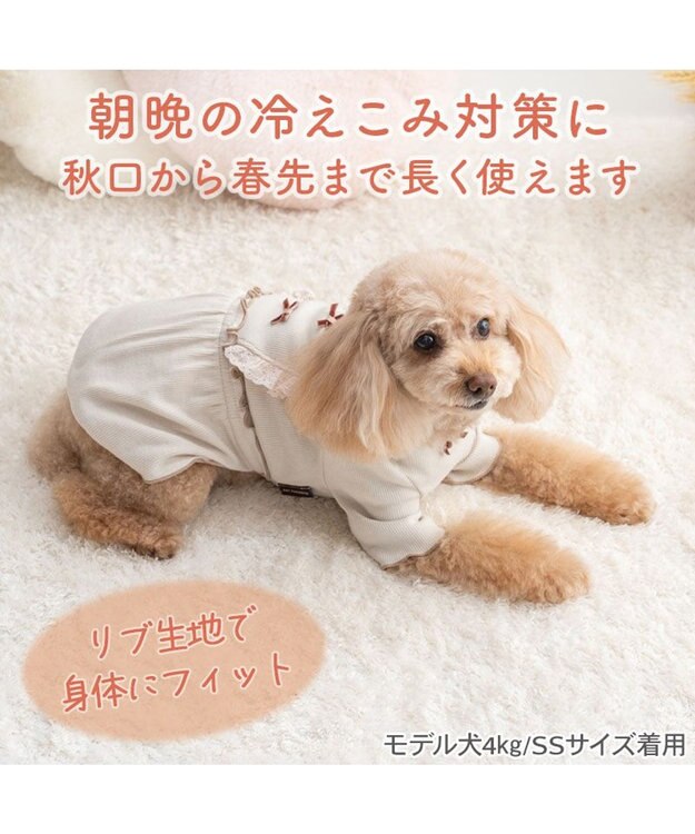 PET PARADISE ペットパラダイス ミニリボン プレミアム ペティヒート ワンピース 小型犬 ベージュ