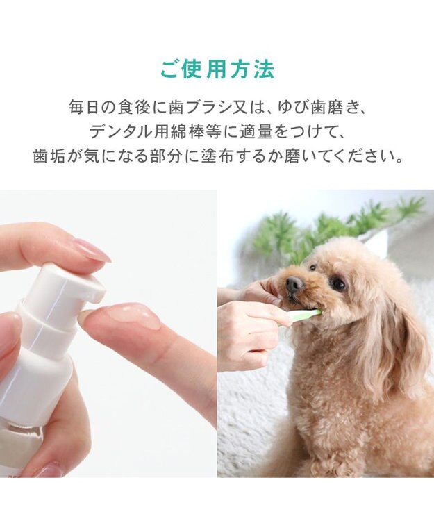 PET PARADISE ペットパラダイス デンタル ブラッシングジェル -