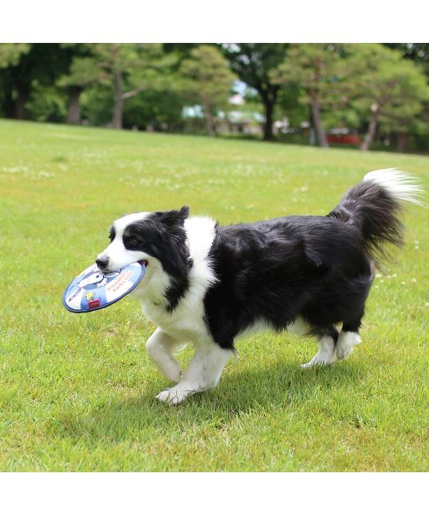 PET PARADISE スヌーピー 水に浮く フライングディスク -