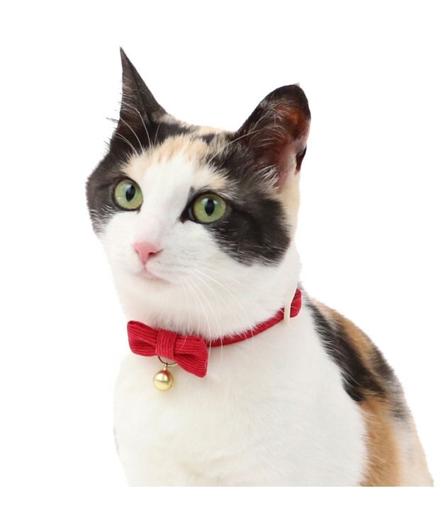 PET PARADISE 猫用 首輪 コーデュロイ 【小】 【中】  レッド レッド