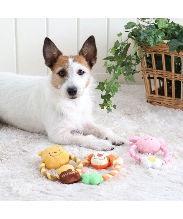 PET PARADISE ディズニー くまのプーさん ロープ おもちゃ 《プーさん/ピグレット/ティガー》 プーさん