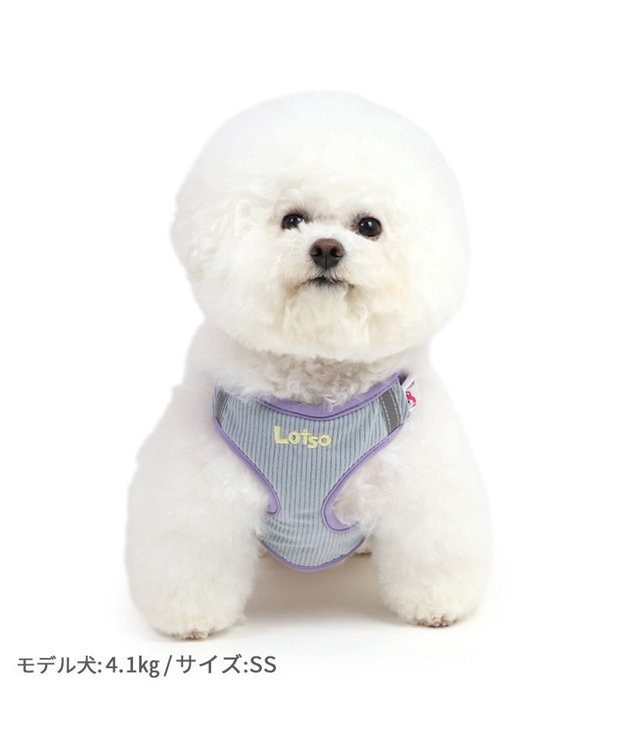 PET PARADISE ディズニー トイ・ストーリー ロッツォ マスコット付き ハーネス S 小型犬 ピンク(濃)