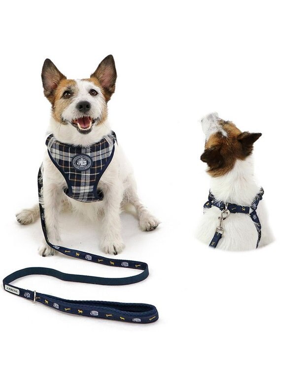 PET PARADISE J.PRESS ビエラチェック ハーネス リード【SS】小型犬 マルチカラー
