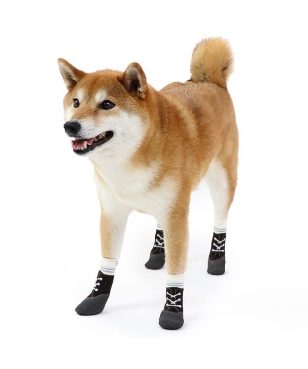 PET PARADISE 犬 靴 靴下 フィットシューズ 【SM】 グリーン ブラウン ブラウン