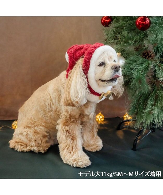 PET PARADISE ペットパラダイス サンタ-帽子 ＳＭ～Ｍ/Ｌ  2026 小型犬 レッド