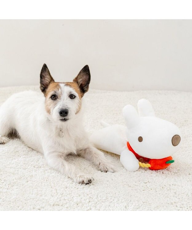 PET PARADISE リサとガスパール リサ パペットトイ ホワイト