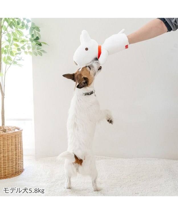 PET PARADISE リサとガスパール リサ パペットトイ ホワイト