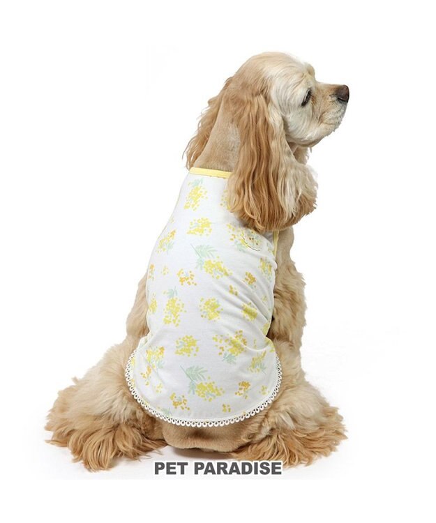 PET PARADISE ペットパラダイス はじめてタンクトップ 《ミモザ柄》 中型犬 大型犬 ミモザ柄