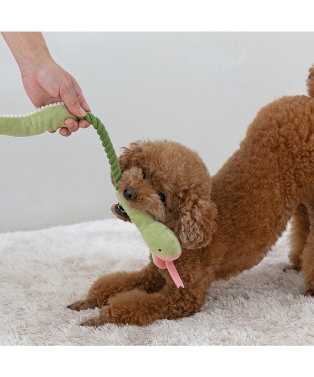 PET PARADISE ペットパラダイス 干支 へび ロープトイ グリーン