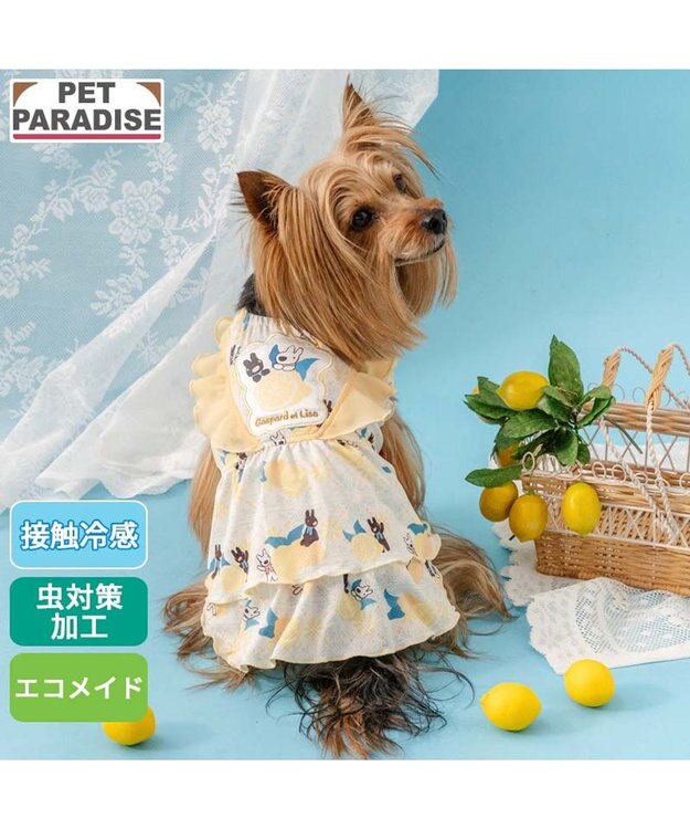 PET PARADISE リサとガスパール エコメイド シトラス ワンピース 小型犬 ホワイト×イエロー