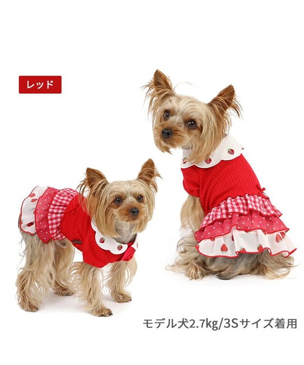小型犬ワンピース cherircouture ドッキングワンピース 小型犬 / PET PARADISE