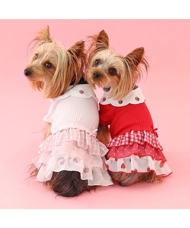 PET PARADISE ペットパラダイス 苺刺繍 ワンピース  スカラップカラー 《レッド》 小型犬 レッド