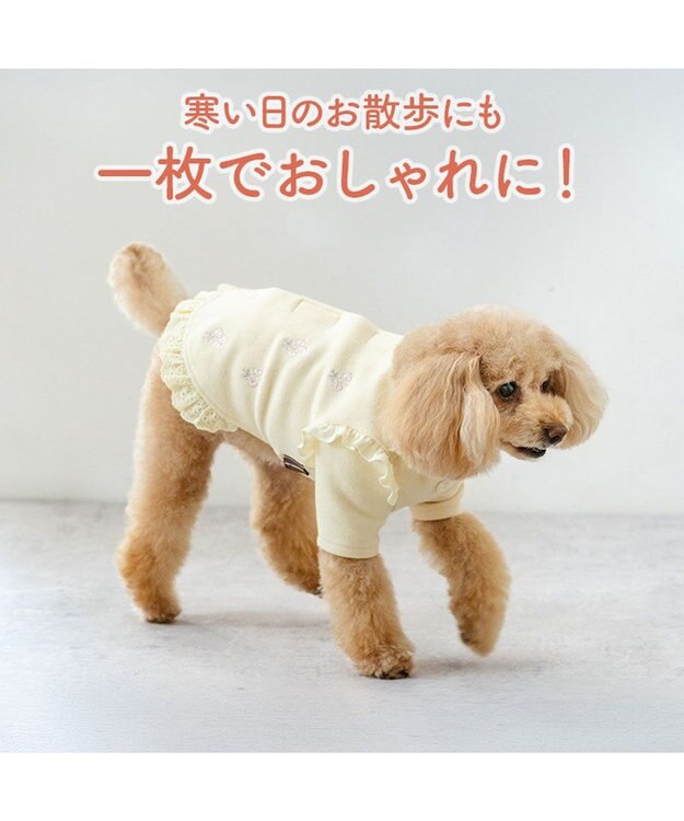 PET PARADISE ペットパラダイス ペティヒートDAN Tシャツ 《小花ブーケ》 小型犬 イエロー