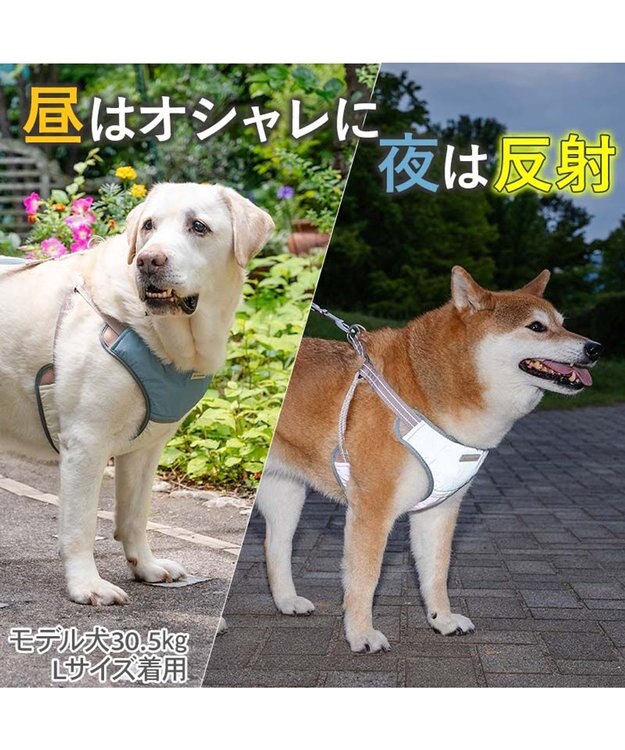 PET PARADISE ペットパラダイス 超反射 切り替え ハーネス＆リード ＳＭ 《ブルーグリーン》 ブルーグリーン