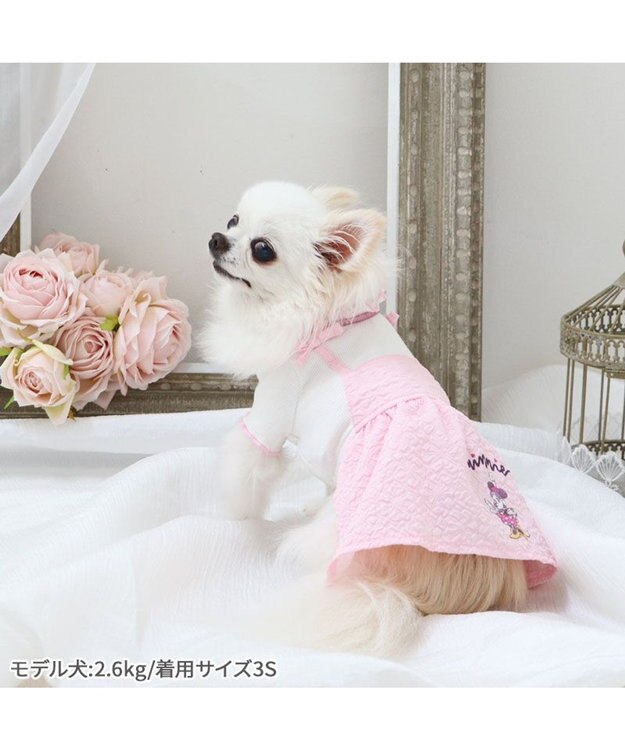 ディズニー ミニー ワンピース 《ぷくっと花柄》 小型犬 / PET