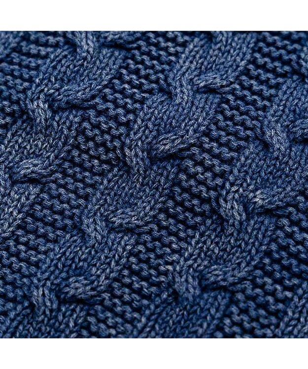 PET PARADISE J.PRESS 綿ケーブルニット 小型犬 ネイビー