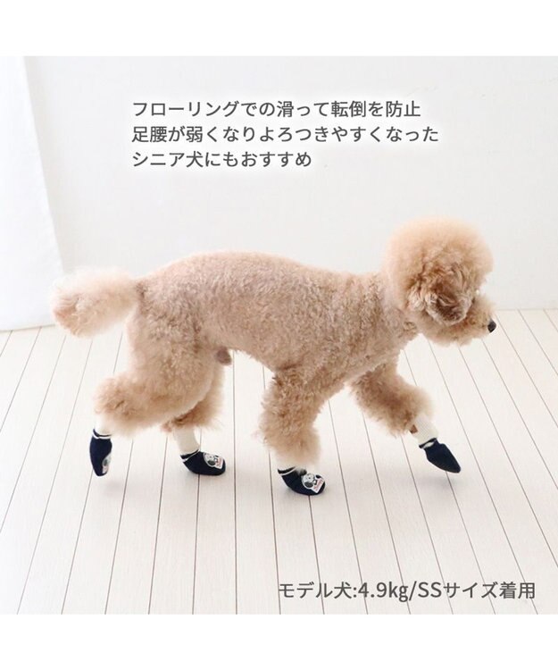 PET PARADISE スヌーピー makokoro スリット 靴下 Ｓ 小型犬 紺(ネイビー・インディゴ)