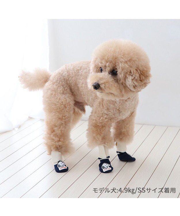 PET PARADISE スヌーピー makokoro スリット 靴下 Ｓ 小型犬 紺(ネイビー・インディゴ)