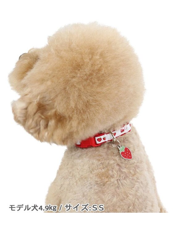 PET PARADISE ペットパラダイス 苺 チャーム付き首輪 3S レッド