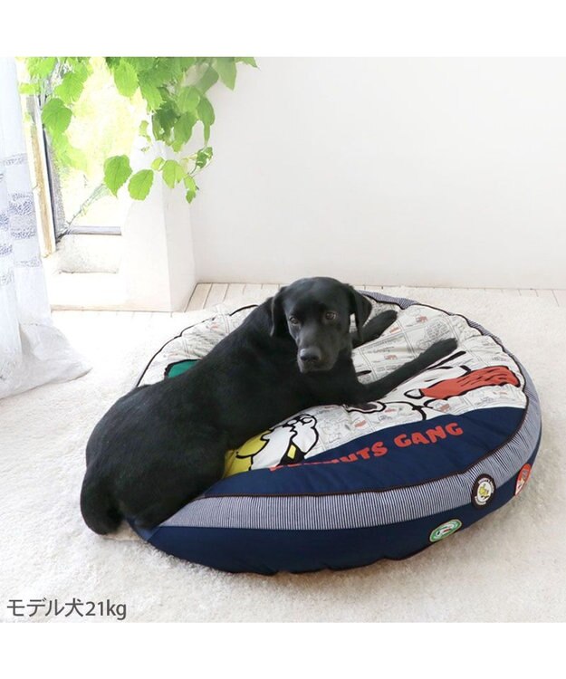 PET PARADISE スヌーピー クッション ワッペンＬ ネイビー×ホワイト