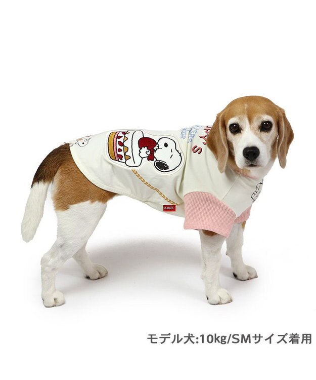 PET PARADISE スヌーピー バースデーＴシャツ 中型犬 白~オフホワイト