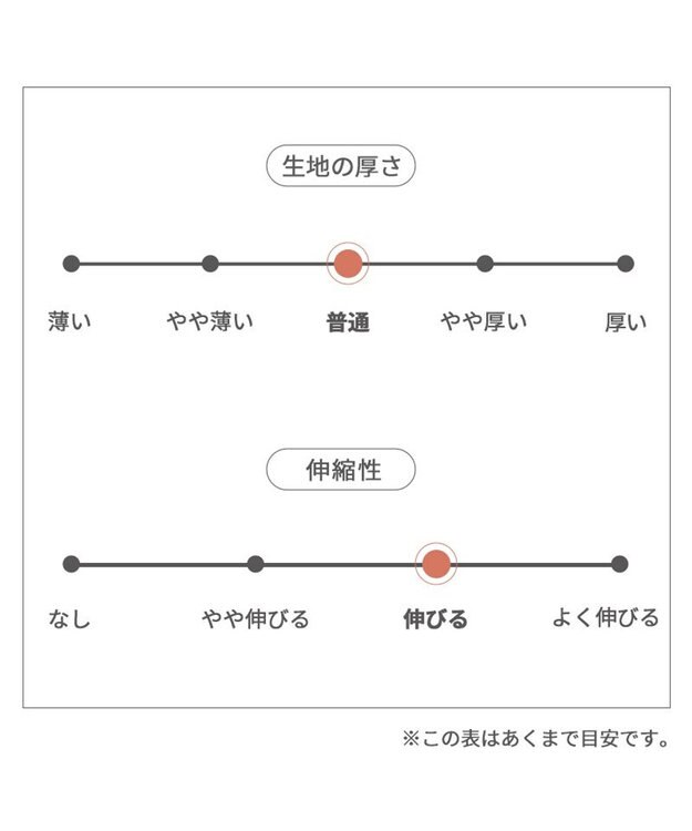 PET PARADISE スヌーピー バースデーＴシャツ 中型犬 白~オフホワイト