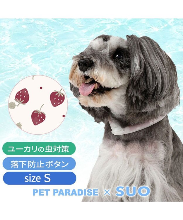 PET PARADISE ペットパラダイス 28℃クールリング  《いちご》 Ｓ 小型犬 いちご柄