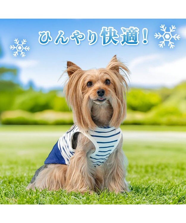 PET PARADISE ペットパラダイス 接触冷感 マリン風 タンクトップ 小型犬 ネイビー