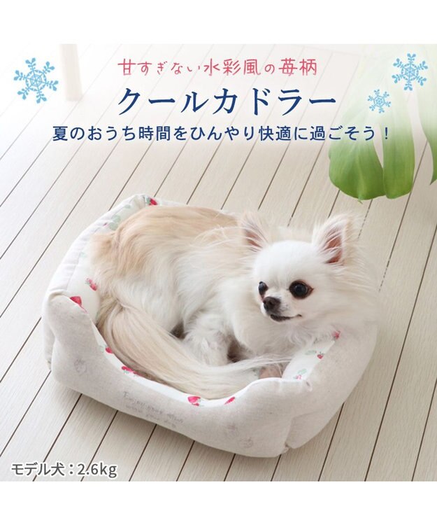 PET PARADISE 苺柄 四角型クール カドラーベッド（38cm） -