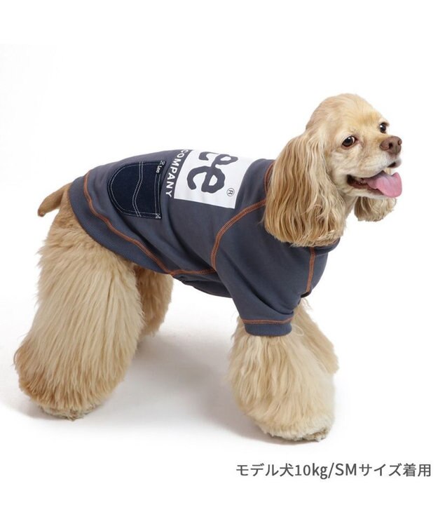 PET PARADISE Lee ステッチ トレーナー 《グレー》 中型犬 大型犬 グレー