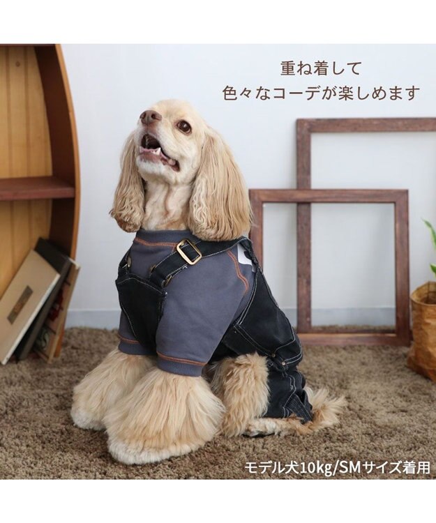 PET PARADISE Lee ステッチ トレーナー 《グレー》 中型犬 大型犬 グレー