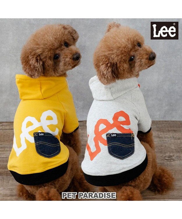 Lee ビッグ ロゴ パーカー 《グレー》 小型犬 / PET PARADISE