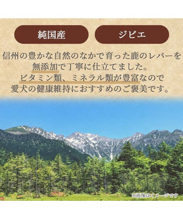 PET PARADISE 信州 鹿レバージャーキー 40g 国産 -
