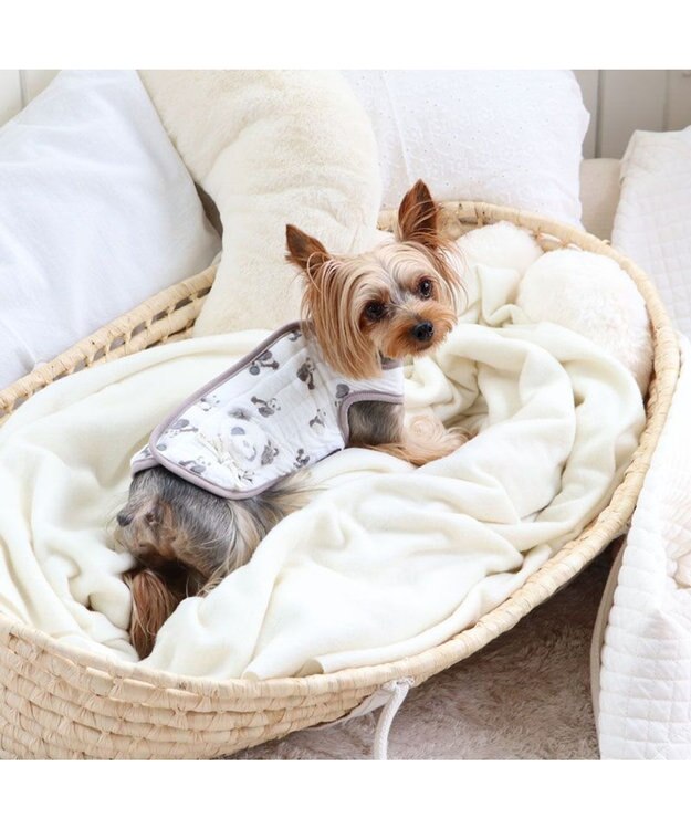 PET PARADISE ペットパラダイス ふわりと キルトベスト 《パンダ》 小型犬 超小型犬 パンダ