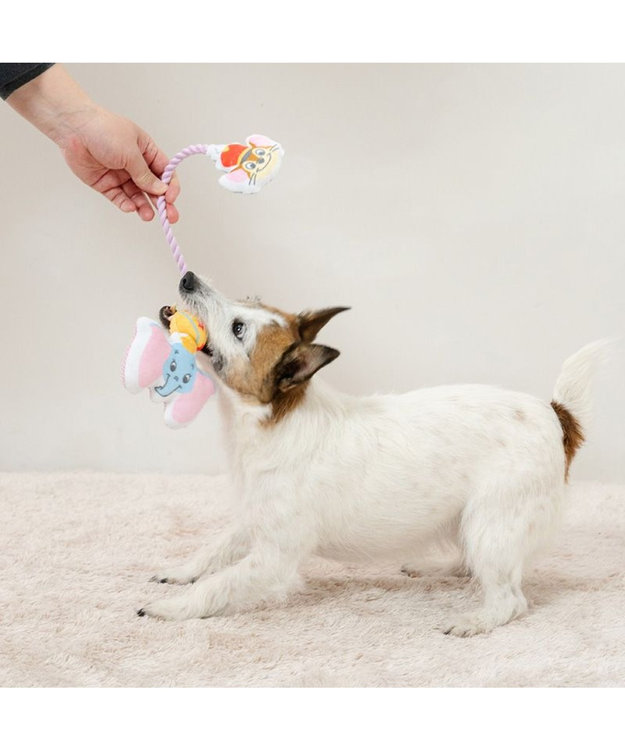 PET PARADISE ディズニー ダンボ &ティモシー  ロープトイ その他