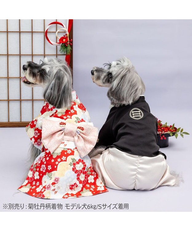 PET PARADISE ペットパラダイス 紋付き刺繍袴 小型犬 ブラック×ホワイト