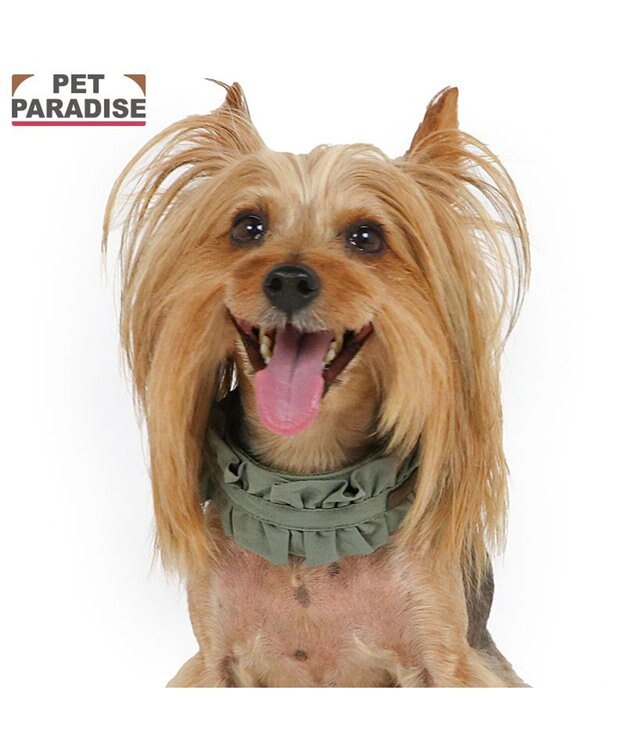 PET PARADISE ペットパラダイス ペタルオリーブ首輪 ＳＳ カーキ