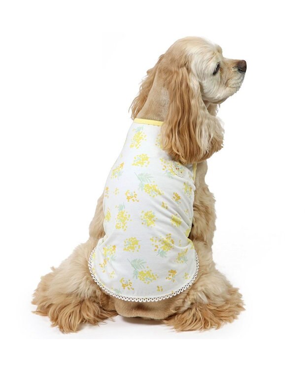 PET PARADISE ペットパラダイス はじめてタンクトップ 《ミモザ柄》 中型犬 大型犬 ミモザ柄